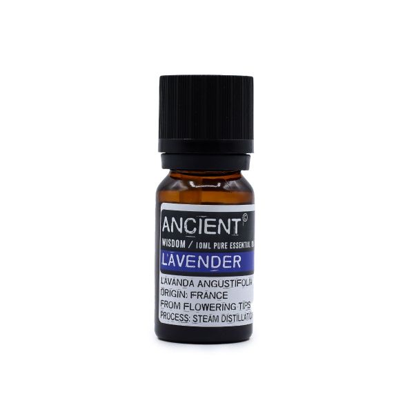Single bottle of Lavender Essential Oil in amber glass with label, displayed upright on a white background.