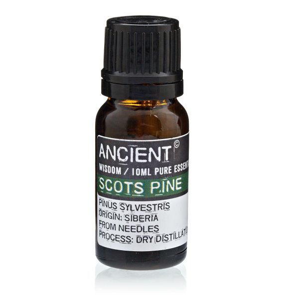 Pinus sylvestris essential oil from Siberia