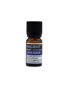 Single bottle of Lavender Essential Oil in amber glass with label, displayed upright on a white background.