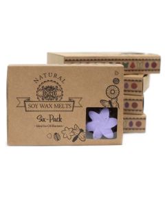 Box of six Lavender Fields wax melts in matchbox-style packaging with cardboard dividers.