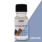 10ml Eucalyptus Fragrance Oil