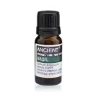 Close‑up of Basil Essential Oil bottle