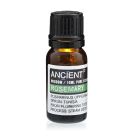 Single amber glass bottle of Rosemary Essential Oil with label, displayed upright on a white background.