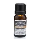 Single amber glass bottle of Fennel Essential Oil with label, displayed upright on a white background.