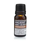 Single amber glass bottle of Cinnamon Essential Oil with label, displayed upright on a white background.
