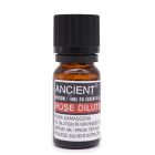 Diluted Rose Absolute oil with floral aroma and skin benefits