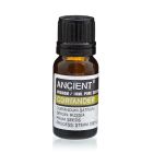 Steam-distilled coriander oil with spicy herbal aroma