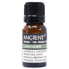 Amber bottle of Lavender Organic Essential Oil