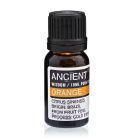 Close‑up of Orange Essential Oil bottle 