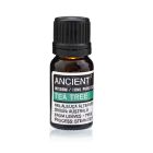 Amber bottle of Tea Tree Essential Oil 