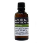 50ml amber glass bottle of Tea Tree Essential Oil with plain label, photographed against a neutral background.